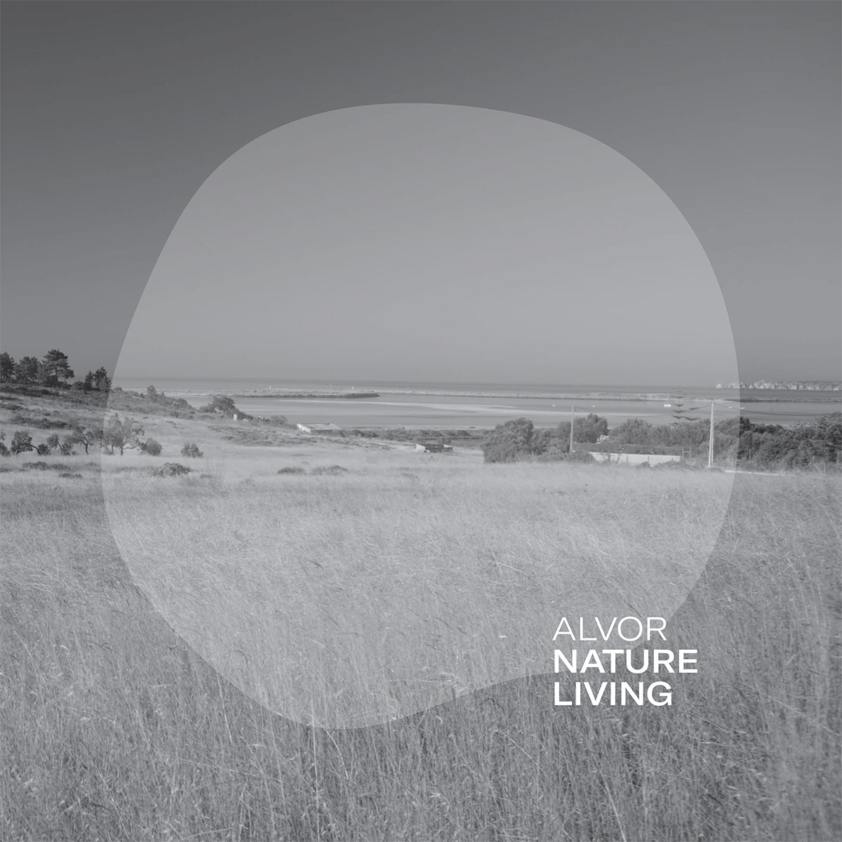 CAPA Brochura Alvor Before